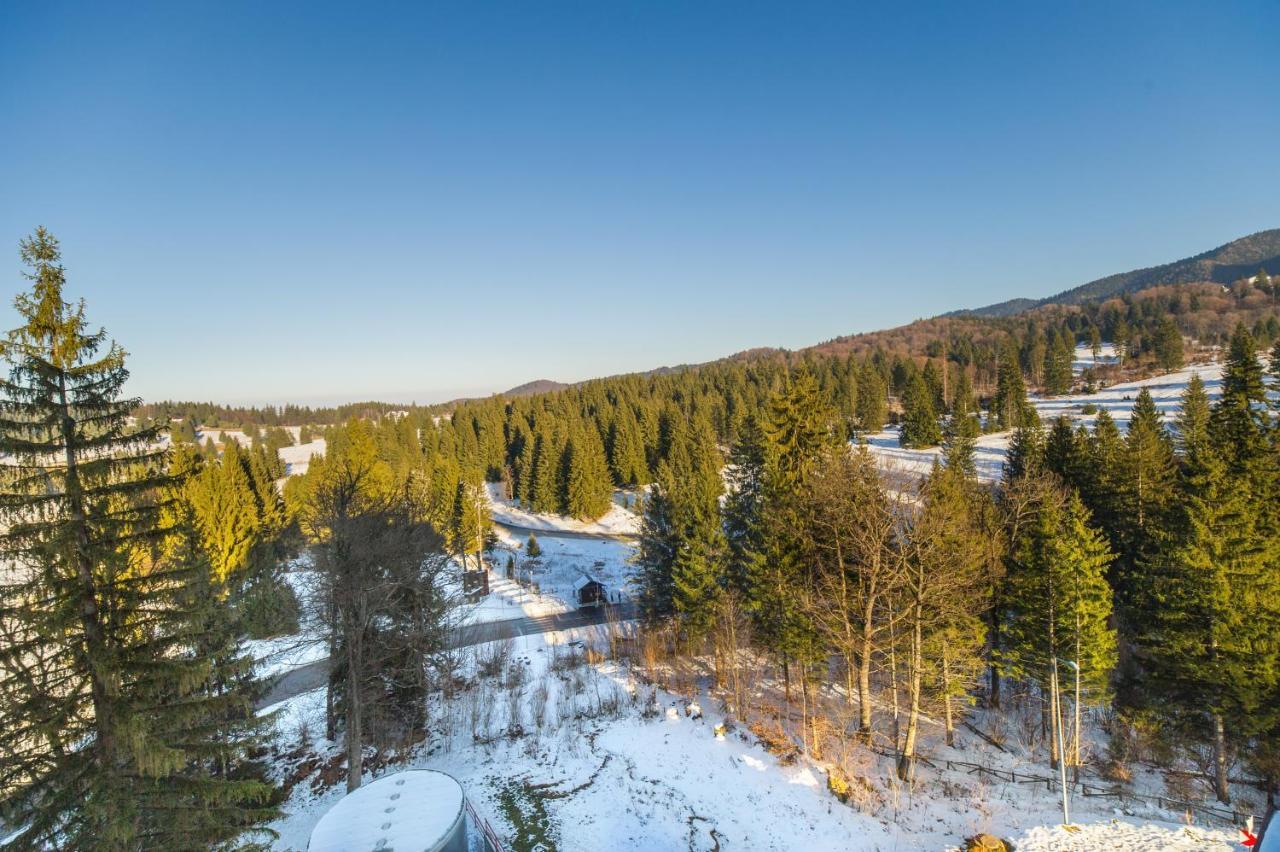 Forest Corner In Silver Mountain Of Poiana Braşov Dış mekan fotoğraf