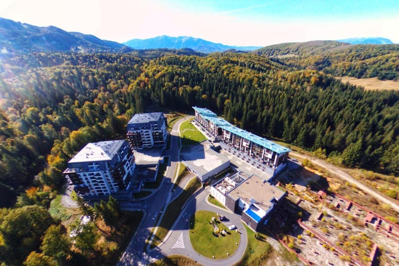 Forest Corner In Silver Mountain Of Poiana Braşov Dış mekan fotoğraf