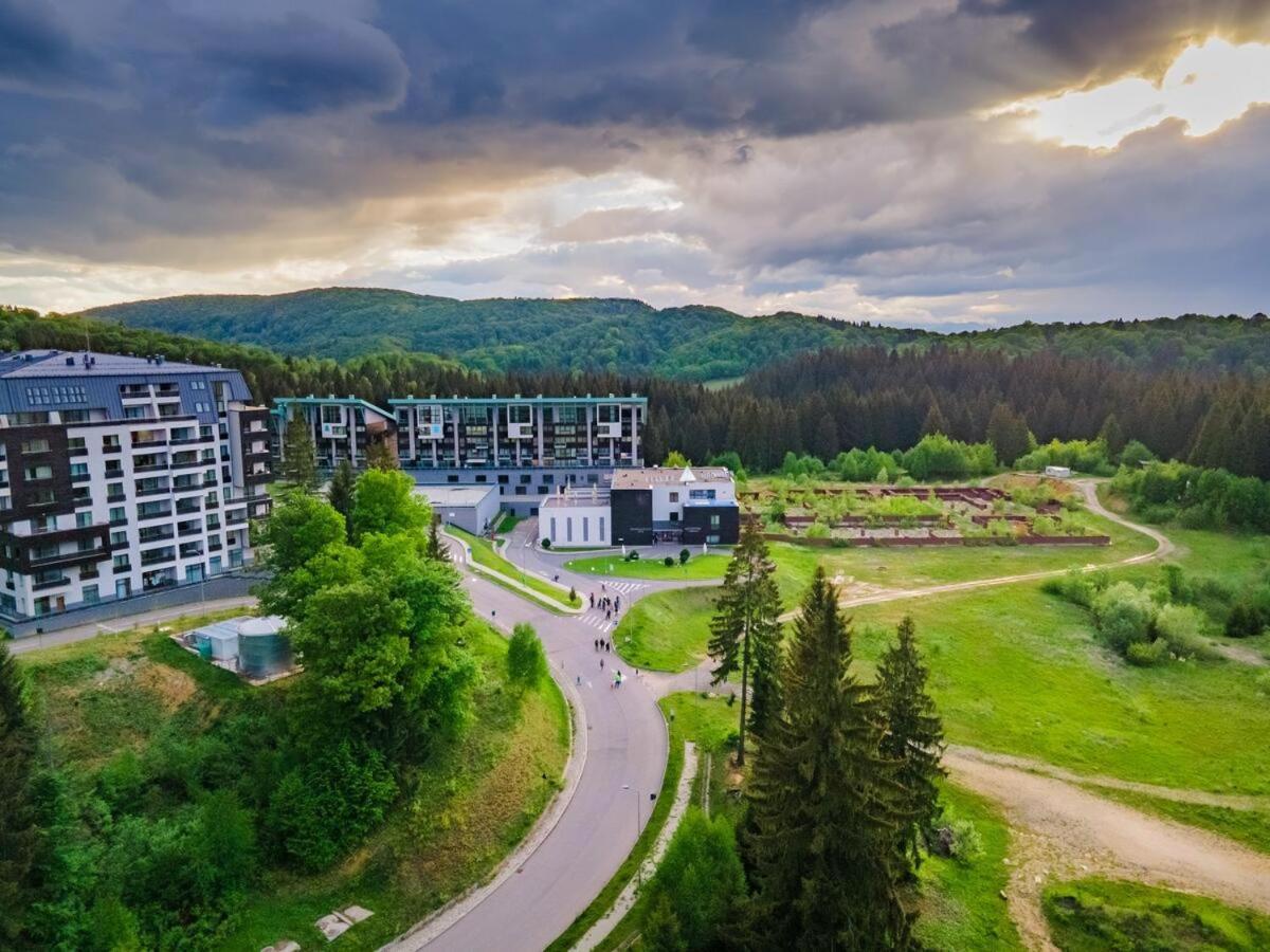 Forest Corner In Silver Mountain Of Poiana Braşov Dış mekan fotoğraf